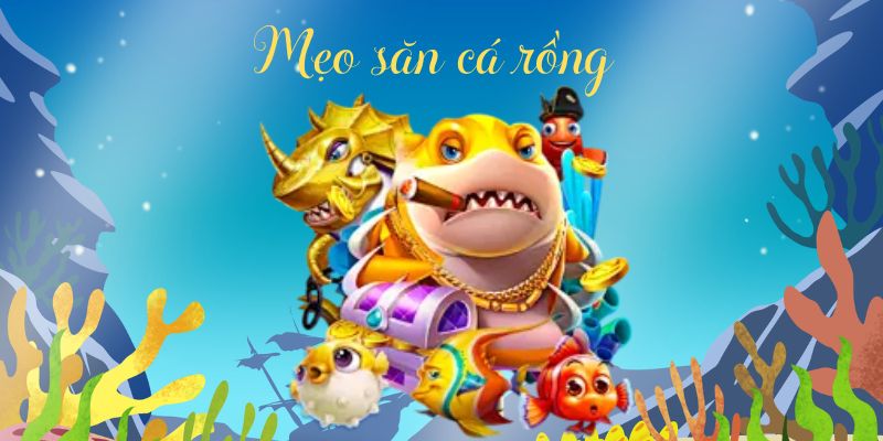 Mẹo săn rồng thần, rinh ngàn vàng tại 79King